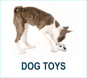 Check out our dog toys!
