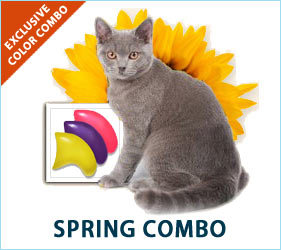 Put a little spring in your kitty's step with our exclusive Spring Combo.