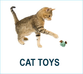 Check out our cat toys!