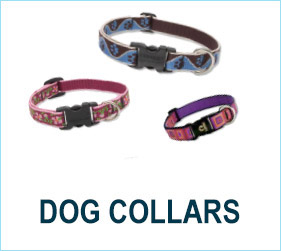 Check out our fabulous dog collars!