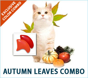 The leaves change, the seasons move on, and our cats love to take it all in, just like we do. A touch of fall color on their nails will have them flitting around like lovely falling leaves.