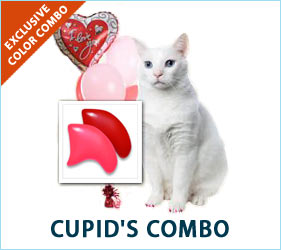 Red and pink: for the kitty that said, "Be mine" and stole your heart!