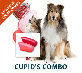 Love (and a bit of fur) is in the air! Red and pink: for the pup that said, "Be mine" and stole your heart!