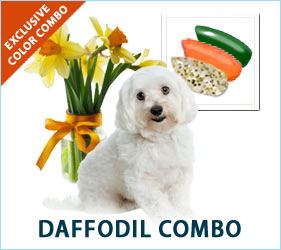 Define your dogs' Spring fashion by decking them out in our unique collection of spring daffodil florals.