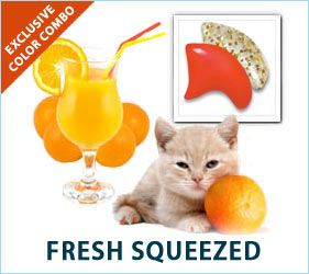 Summertime is here, and it can't last long enough. Your cat will help extend the season by looking refreshed and relaxed in our Fresh Squeezed Combo.