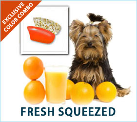 Cold orange juice on the deck is a great way to start a summer morning. Your dog will look as refreshed and cool as your morning juice in our Fresh Squeezed Combo.