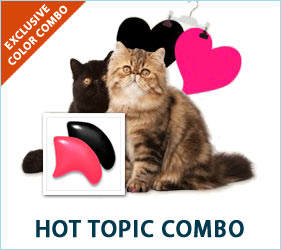 Your fashionable feline will be the talk of the town, spotted at all the trendy food bowls and scratching pads sporting the Hot Topic Combo.