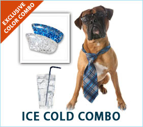 A nice tall, cold drink is a special summertime treat. Your dog will look as relaxed and cool as your favorite summer beverage wearing our Ice Cold Combo.