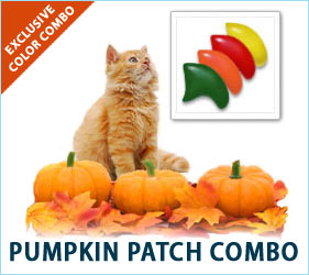 Going to the pumpkin patch is a treat for all of our senses. With our Pumpkin Patch nail cap combo, you can enjoy the joyful feelings of the patch whenever your kitty prances through the room.