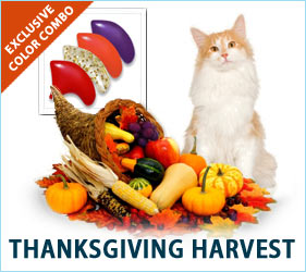 Let's all five thanks that our furniture is safe with Soft Paws Thanksgiving Combo