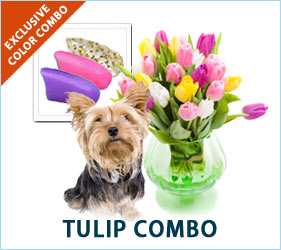 Your pup will be ready to spring into the season wearing the fresh floral colors of our Tulip Combo for dogs.